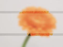 Broschüren und Dekorglas Sandstrahlmotiv Klarglas 2 Streifen horizontal. Kataloge, Corporate Design,  Aktion 2022,  Haustüren,  PaXentrée Aluminium